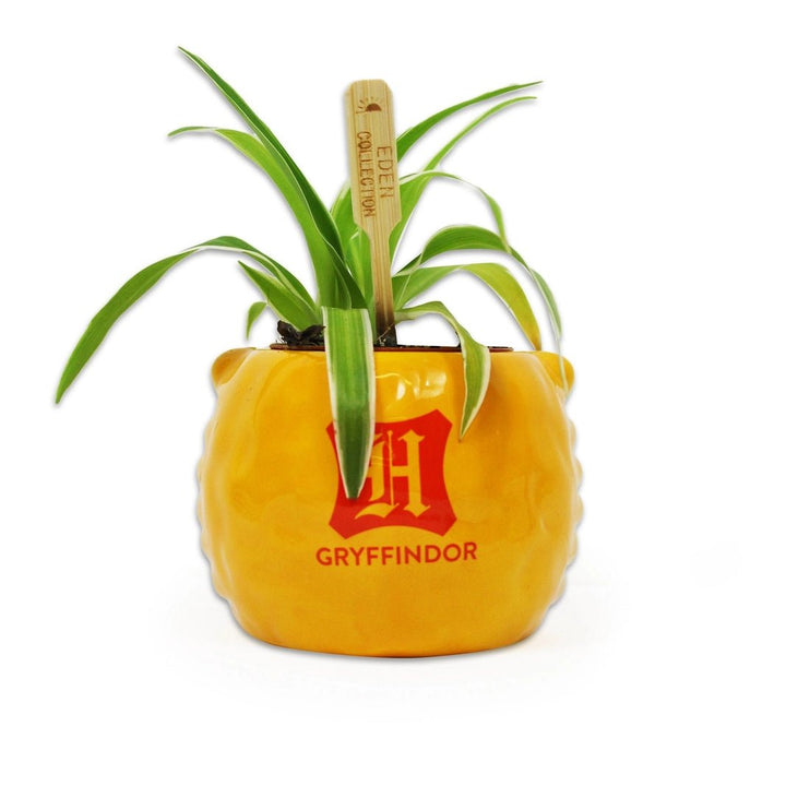 Harry Potter Vase Gryffindor - Supernerds