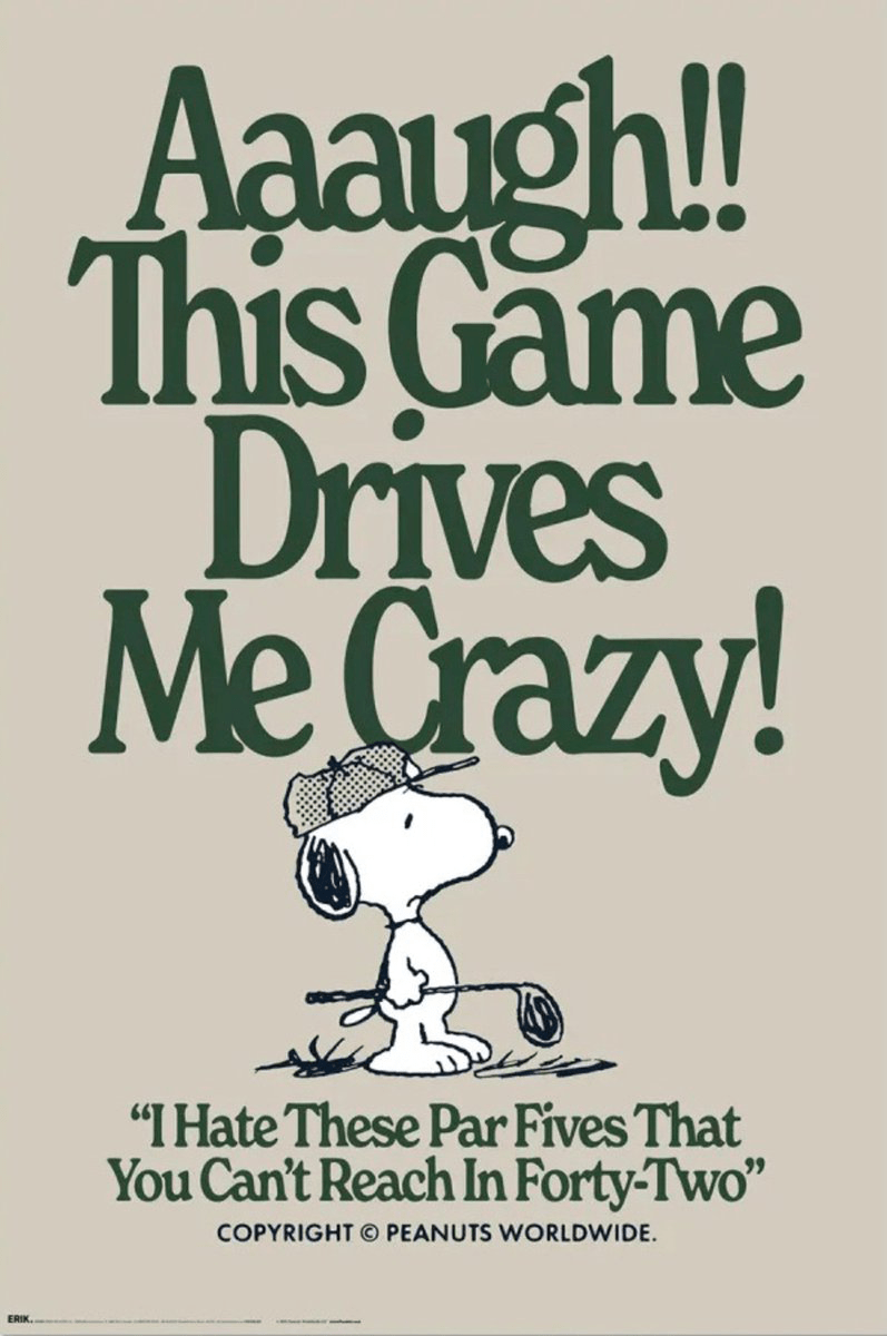 Snoopy Plakat Drives Me Crazy - Supernerds