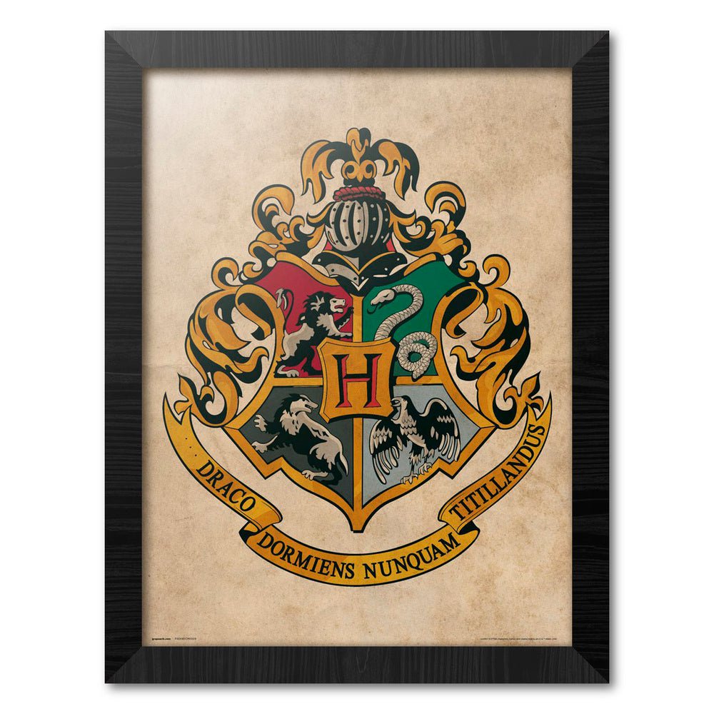 Harry Potter Innrammet Bilde 30 x 40 cm Hogwarts - Supernerds