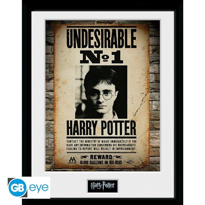 Harry Potter Innrammet Bilde 30 x 40 cm Undesirable - Supernerds