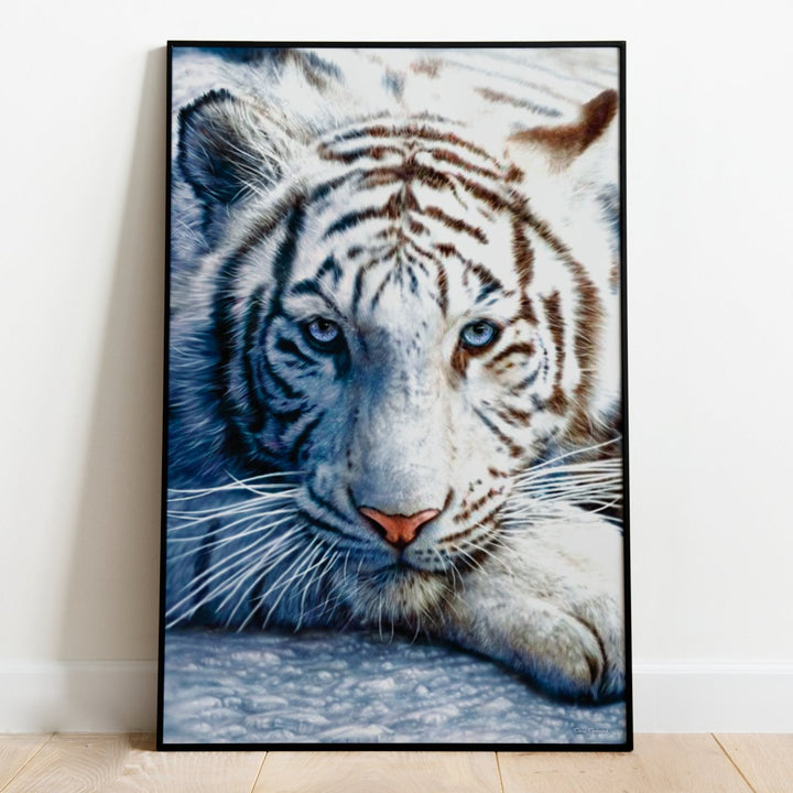 Hvit Tiger Plakat - Supernerds