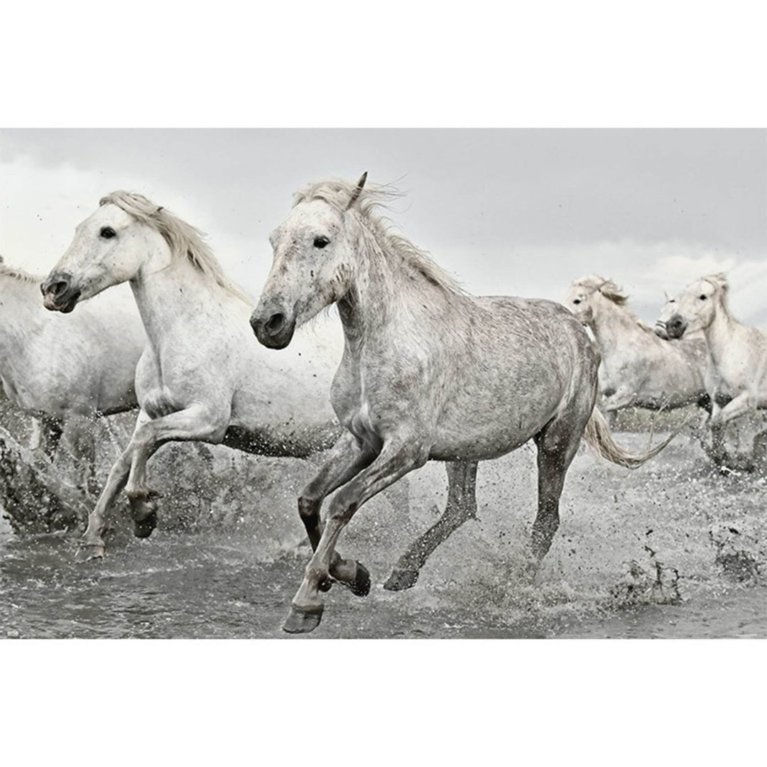 Hvite Hester Plakat - Supernerds